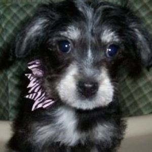 Meet your Posher, Debra